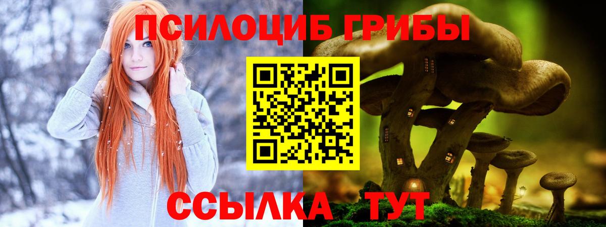 Галлюциногенные грибы мицелий  Галлюциногенные грибы Cubensis  Чусовой  Вход с VPN 